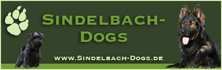 Sindelbachdogs_Banner