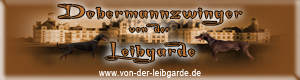 banner_leibgarde